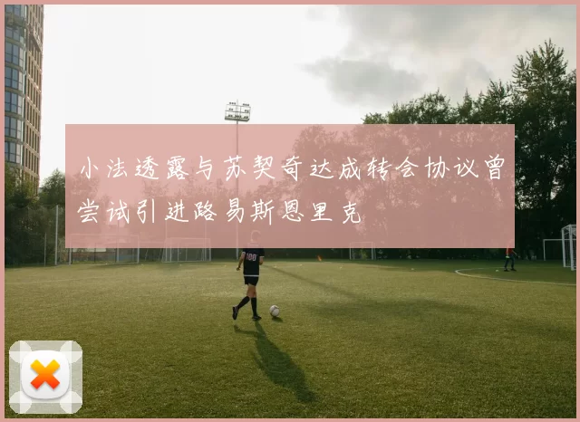 小法透露与苏契奇达成转会协议曾尝试引进路易斯恩里克