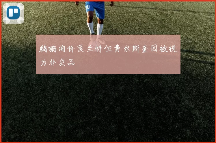 鹈鹕询价莫兰特但费尔斯奎因被视为非卖品