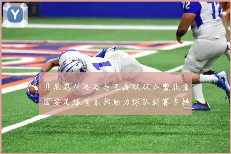 贝尼恩科洛洛与王禹双双加盟北京国安足球俱乐部助力球队新赛季挑战