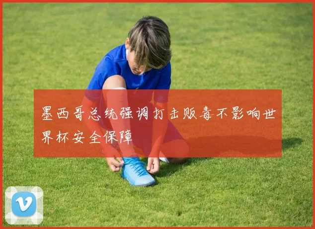 墨西哥总统强调打击贩毒不影响世界杯安全保障